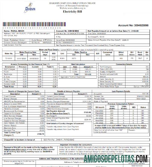 Em branco ÍNDIA DHBVN fatura de serviços públicos modelo Word e PDF